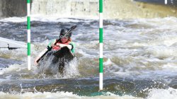 IMG_8241.JPG
