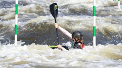 IMG_8331.JPG